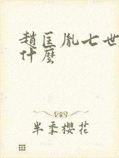 赵匡胤七世孙叫什么封面