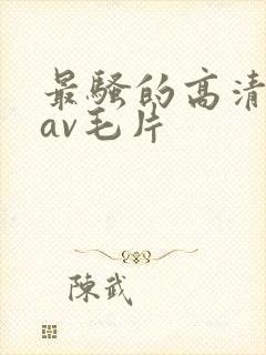 最骚的高清免费av毛片
