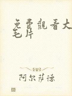 免费观看大尺度毛片