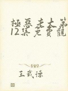 极恶老大第2季12集免费观看