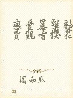 恋爱暴击动漫免费观看樱花动漫封面