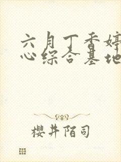 六月丁香婷婷开心综合基地封面