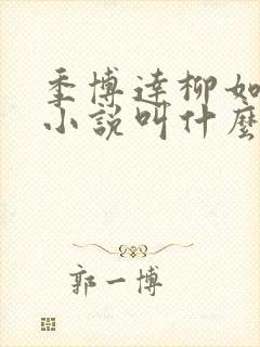 季博达柳如烟的小说叫什么封面