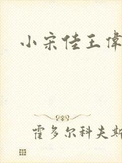 小宋佳王伟