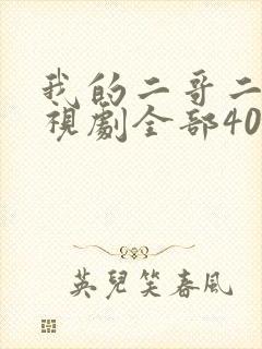 我的二哥二嫂电视剧全部40集