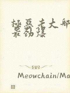 极恶老大哪一集最劲爆