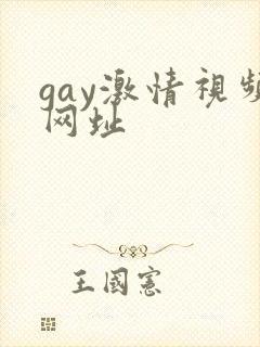 gay激情视频网址