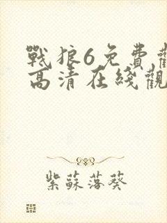 战狼6免费观看高清在线观看国语版