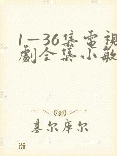 1—36集电视剧全集小敏家