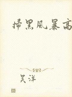 扫黑风暴高清封面