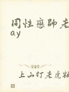 同性恋帅老头gay