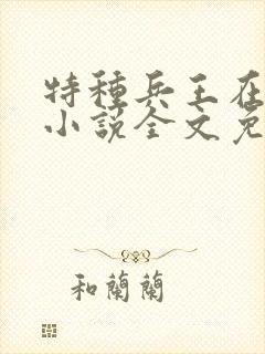 特种兵王在山村小说全文免费阅读封面