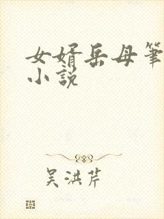 女婿岳母笔趣阁小说