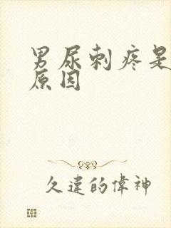 男尿刺疼是什么原因
