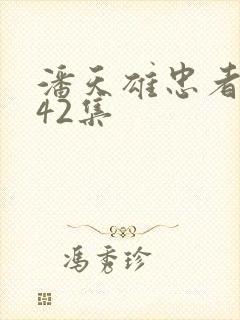 潘天雄忠者无敌42集封面