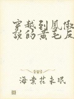穿越到凤傲天小说的黄毛反派也要幸福封面