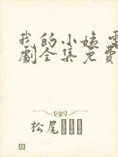 我的小姨 电视剧全集免费观看