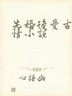 先婚后爱古代言情小说