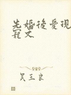 先婚后爱现言甜宠文