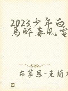 2023少年白马醉春风电视剧33集播放封面