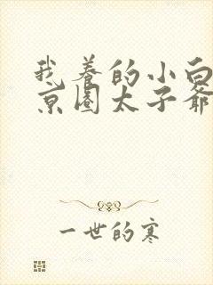我养的小白脸是京圈太子爷全集