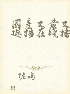 国产又黄又爽无遮挡在线播放