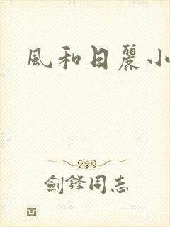 风和日丽小说