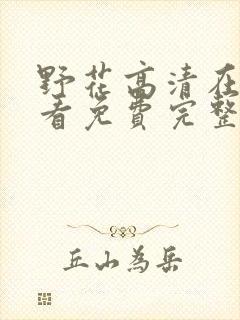 野花高清在线观看免费完整bd