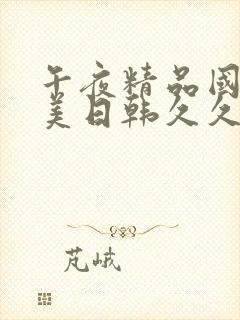 午夜精品国产欧美日韩久久封面