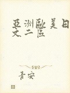 亚洲欧美日韩中文二区