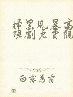 扫黑风暴高清电视剧免费观看