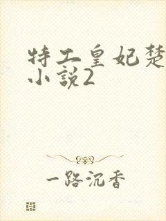 特工皇妃楚乔传小说2封面