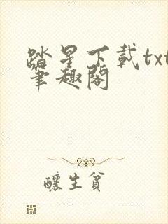 踏星下载txt笔趣阁封面