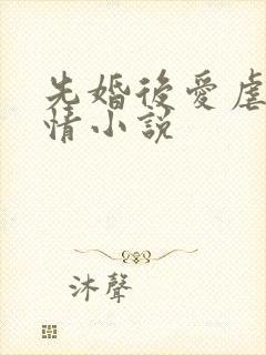 先婚后爱虐心言情小说