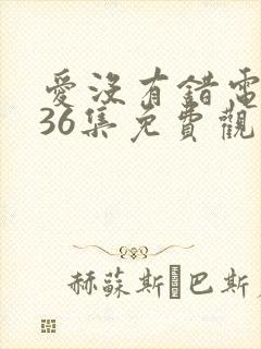 爱没有错电视剧36集免费观看剧情介绍