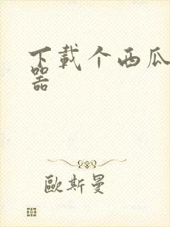 下载个西瓜播放器