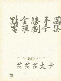点金胜手国语版电视剧全集免费