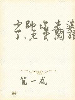 少帅你老婆又跑了.免费阅读