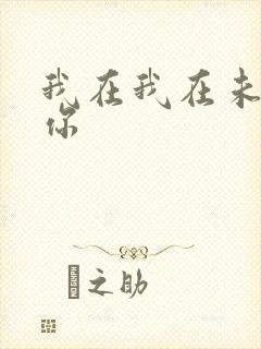 我在我在未来等你