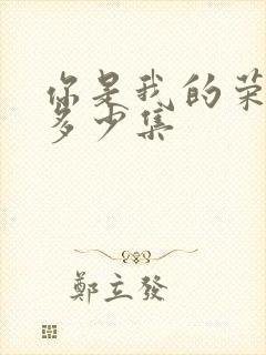 你是我的荣耀有多少集