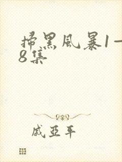 扫黑风暴1—28集封面