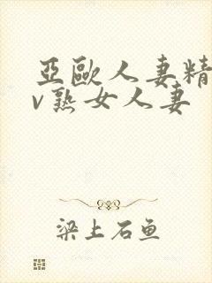 亚欧人妻精品av熟女人妻