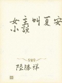 女主叫夏安安的小说封面