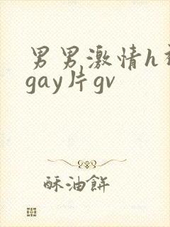 男男激情h视频gay片gv封面