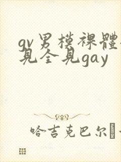 gv男模裸体全见全见gay