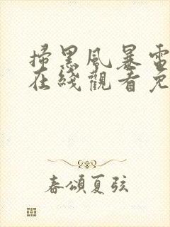 扫黑风暴电视机在线观看免费完整版