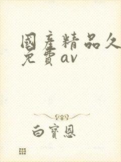 国产精品久久久免费av