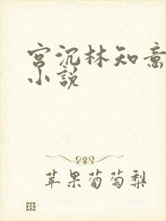 宫沉林知意正版小说封面