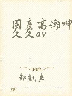 国产高潮呻吟久久久av