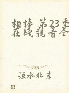 相棒 第23季在线观看全集免费播放